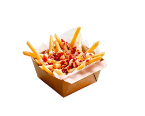Frites Cheddar Bacon